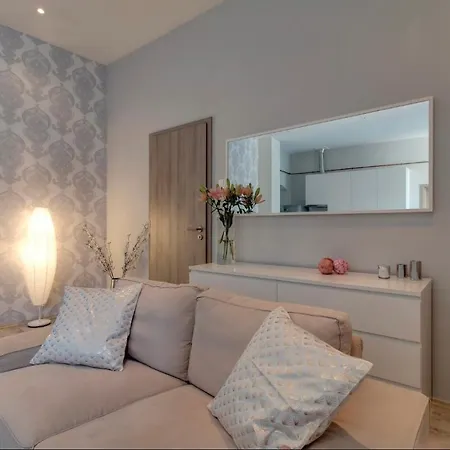 Downtown Luxory Apartment